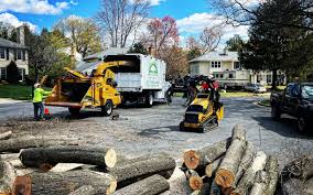 Trusted Eagle Lake, TX Tree Services Experts