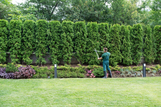 Artificial Turf Installation in Eagle Lake, TX