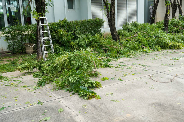 Best Storm Damage Tree Cleanup  in Eagle Lake, TX